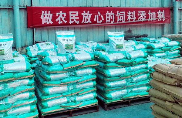 更多產(chǎn)品
