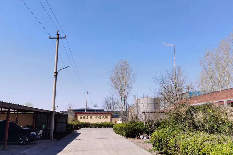 廠容廠貌